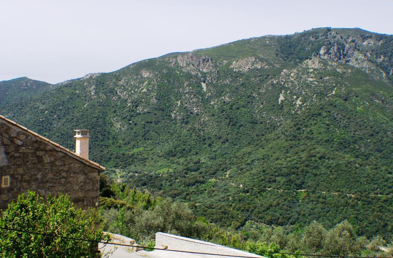 Maison de vacances Le Petit Nid d'Amour Poggio Santa-Lucia-di-Tallano Extérieur photo