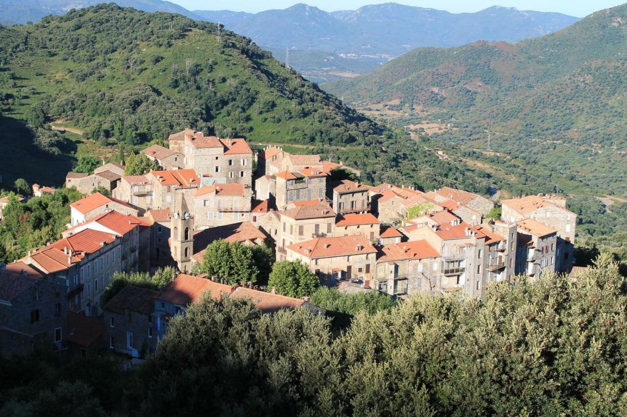 Maison de vacances Le Petit Nid d'Amour Poggio Santa-Lucia-di-Tallano Extérieur photo