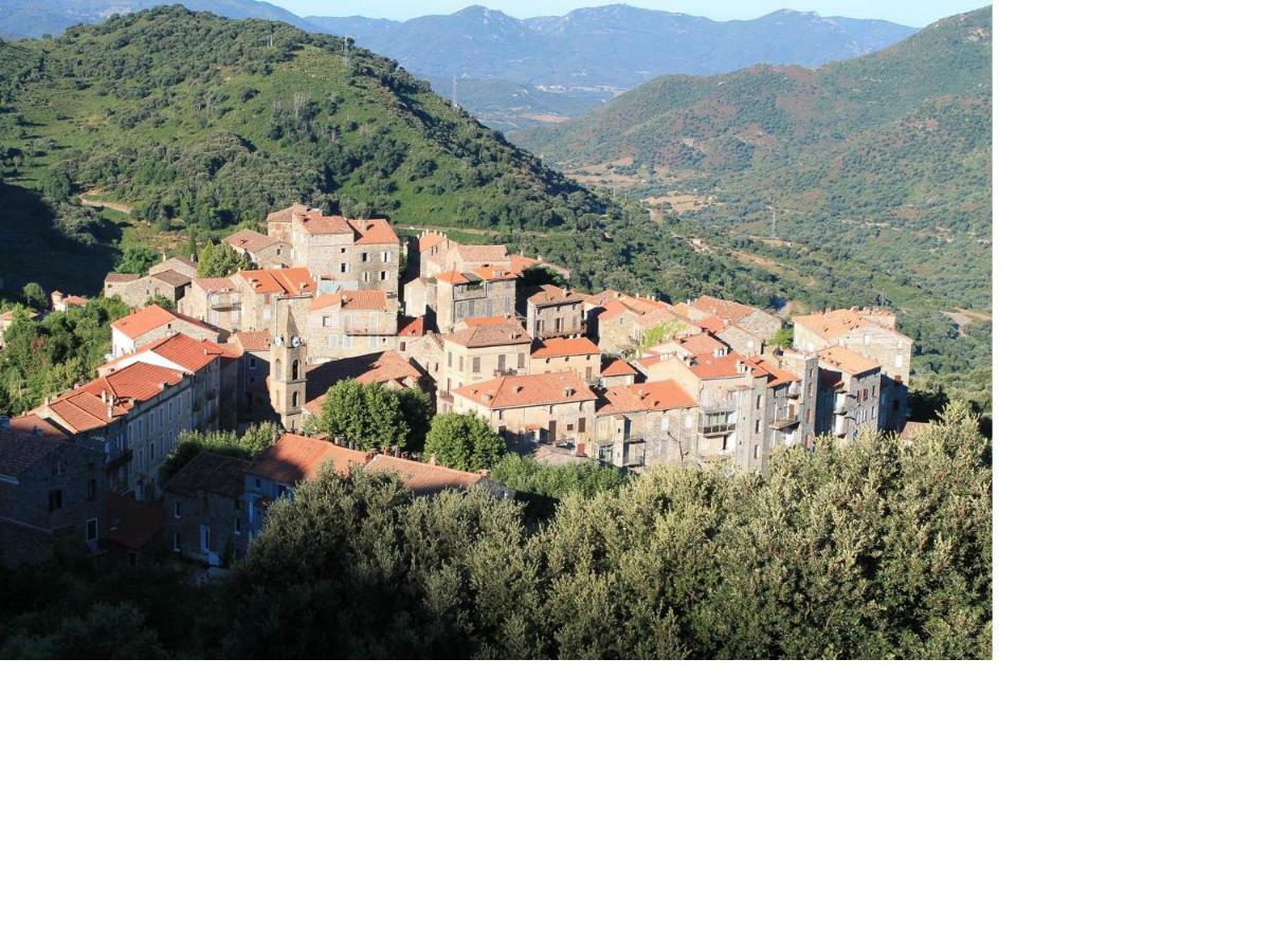 Maison de vacances Le Petit Nid d'Amour Poggio Santa-Lucia-di-Tallano Extérieur photo